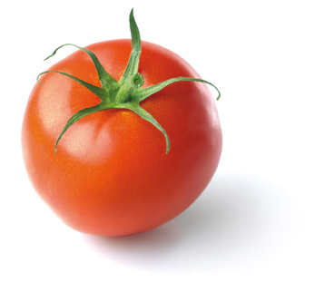 Logo Tomate 2014